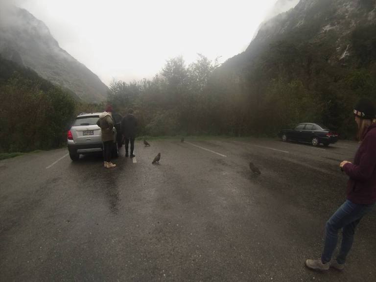 12063417_786335311171_4821152737128045475_n