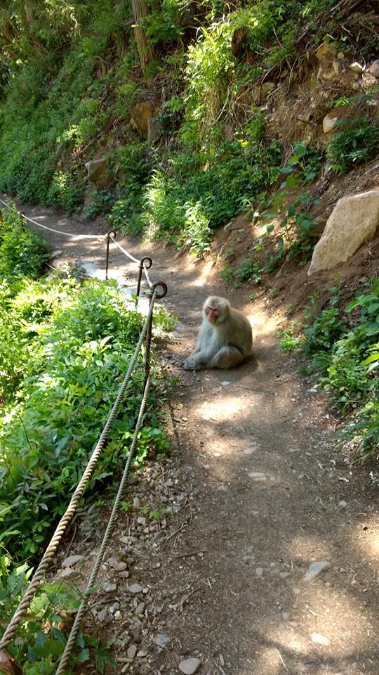 18671071_908431679071_4735145254018071246_n (1).jpg