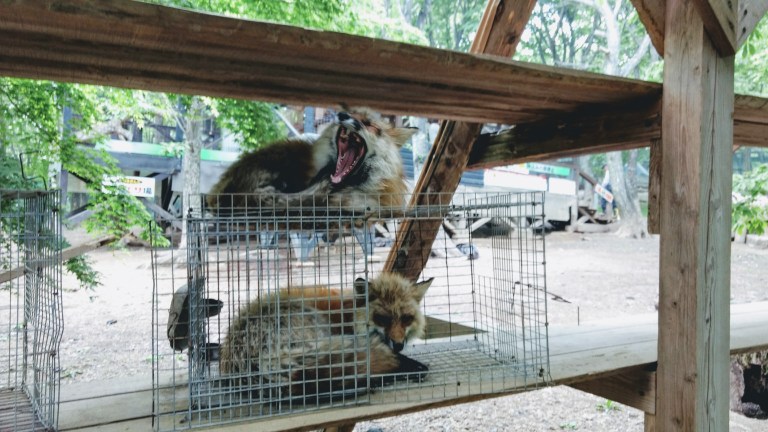 IMG_20170524_104221726