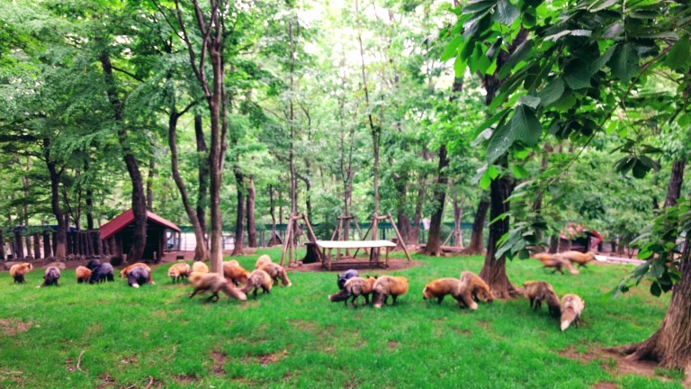 IMG_20170524_132836179