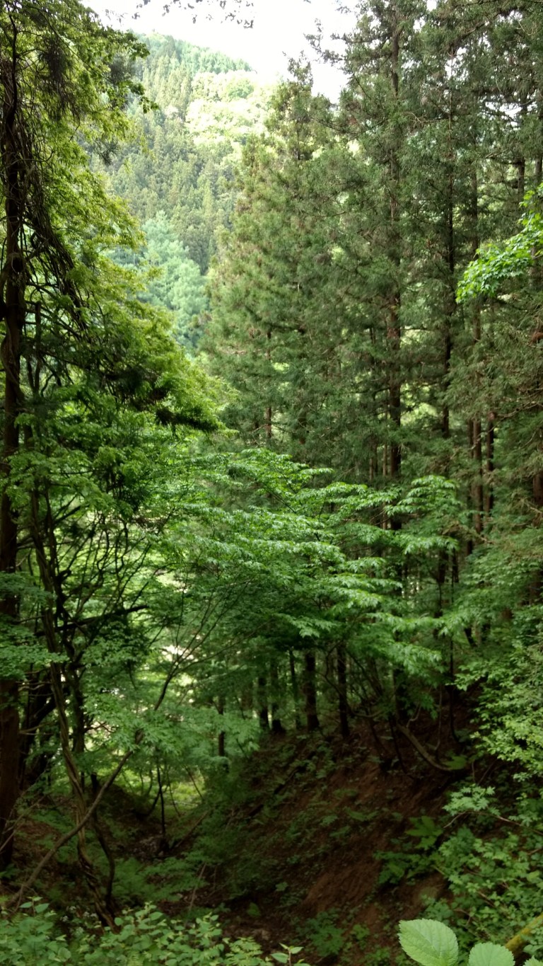 IMG_20170527_140626176_HDR