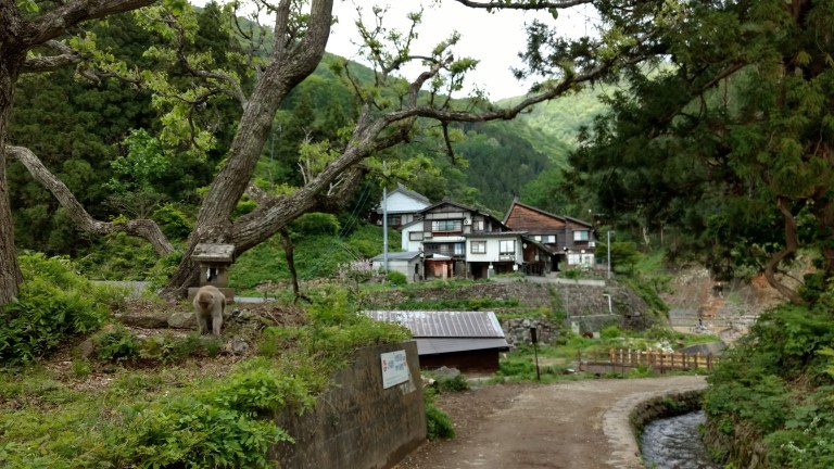 IMG_20170527_141816526_HDR