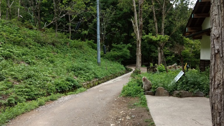 IMG_20170527_141930307