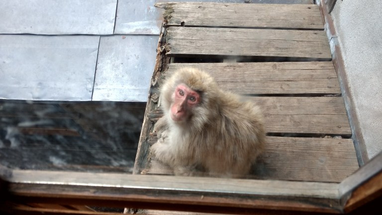 IMG_20170527_143746212_HDR