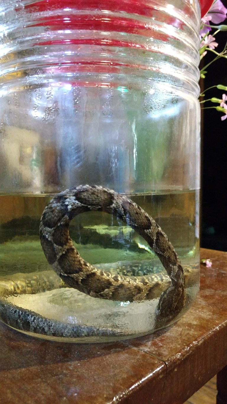 IMG_20170527_162907128