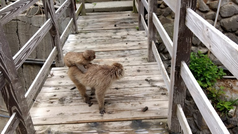 IMG_20170528_073145190