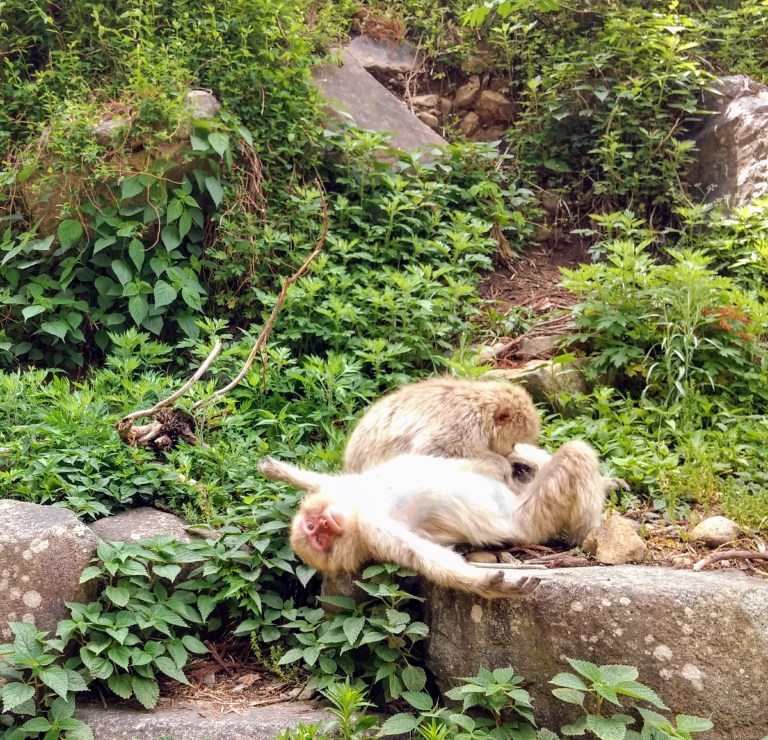 IMG_20170528_095254366