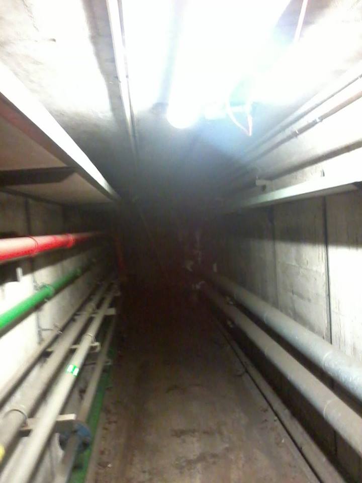 13620866_829157510141_809454059262997313_n