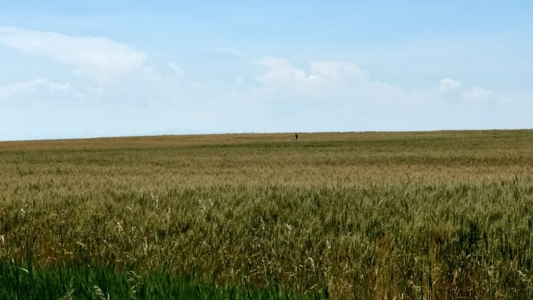 IMG_20170705_131424292_HDR