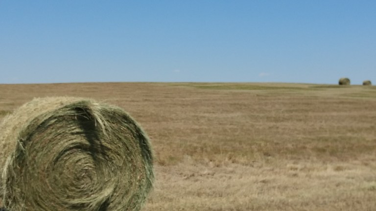 IMG_20170705_134415379