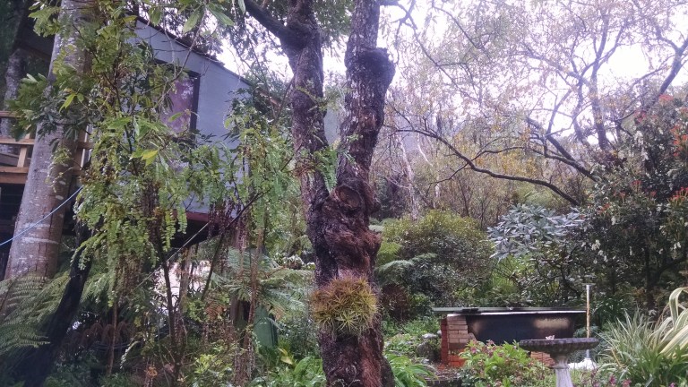 IMG_20150924_095859983