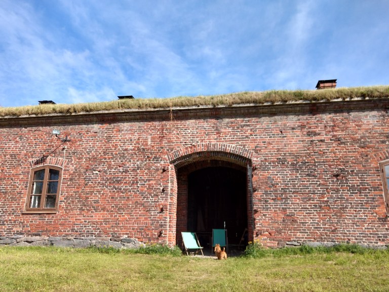 IMG_20170904_052647857_HDR