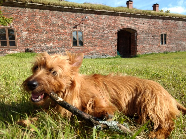 IMG_20170904_053658234