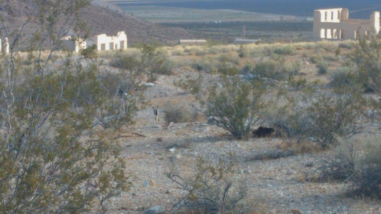 IMG_20170922_162610687