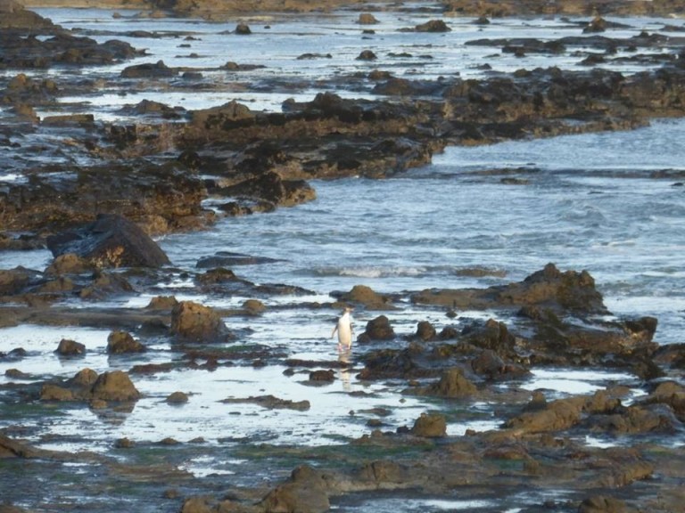 12235000_10156319339655492_7712678223549966433_n