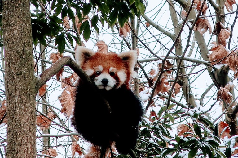 20180107181659_IMG_1380~2