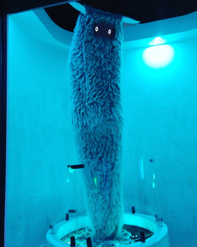 IMG_20171119_212755_468