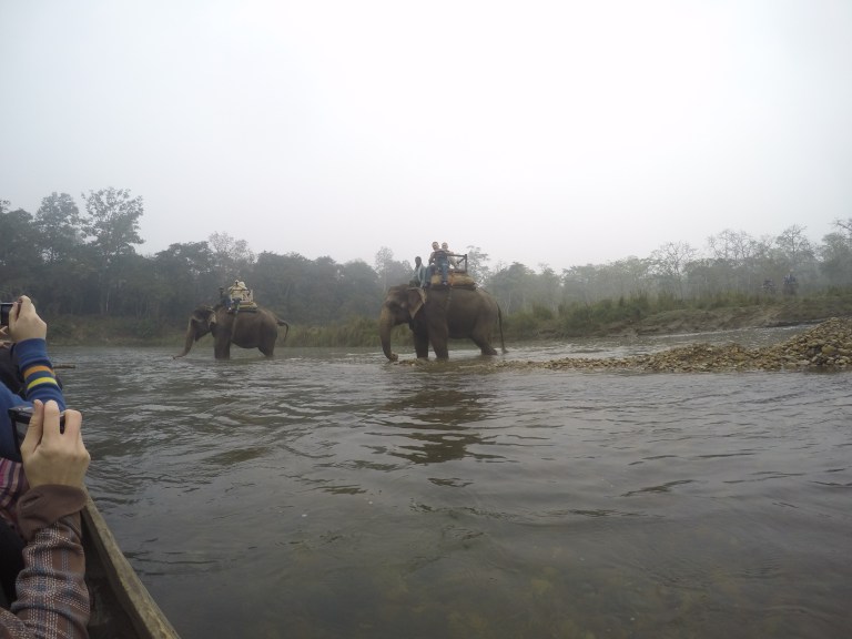 DCIM108GOPROGOPR9855.