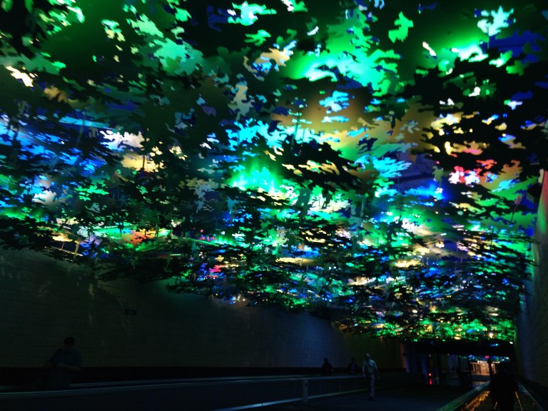 IMG_20180419_071237040