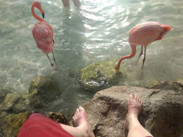 IMG_20180808_170543178