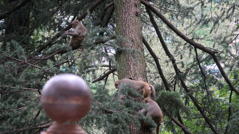 20180907002507_IMG_3218