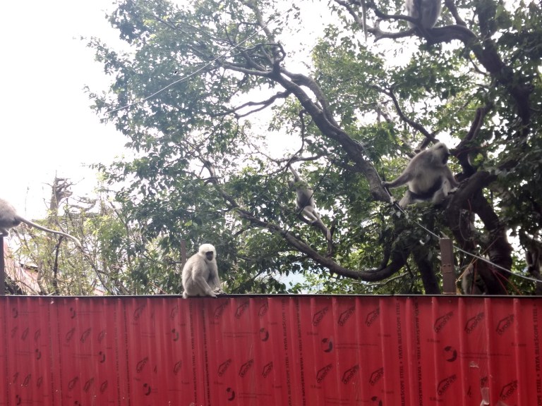 IMG_20180908_041902125_HDR