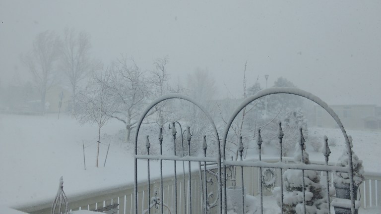 IMG_20190313_112849287