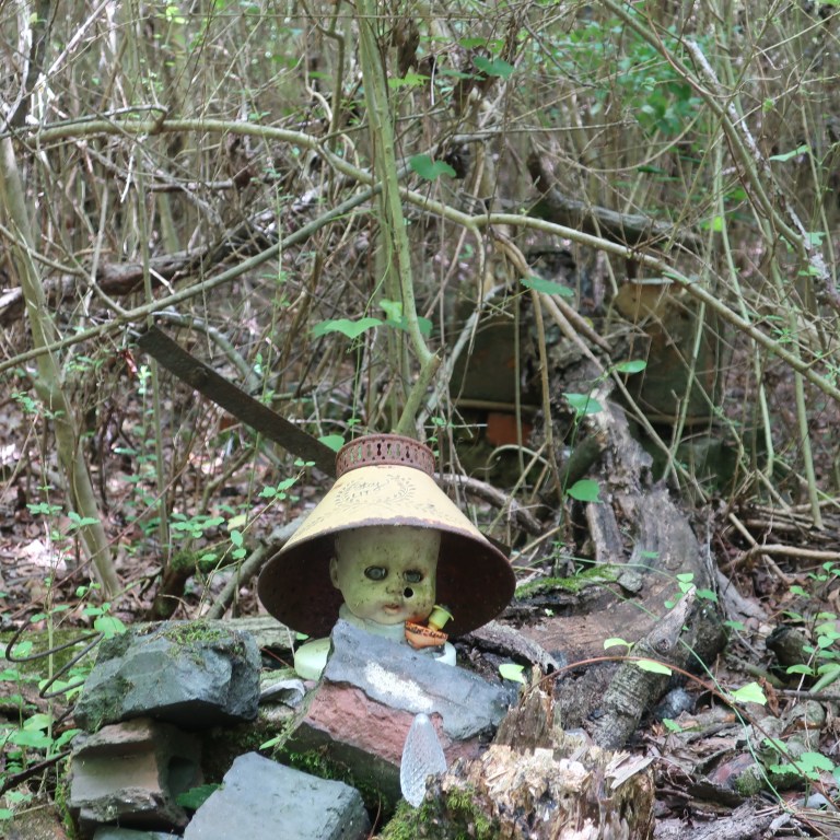 20171109191609_IMG_1174