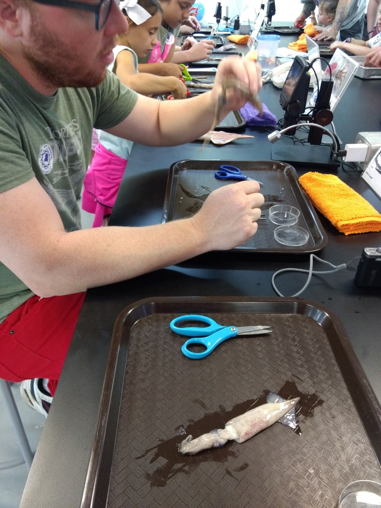 IMG_20190707_131237597