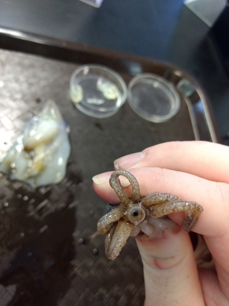 IMG_20190707_132244097